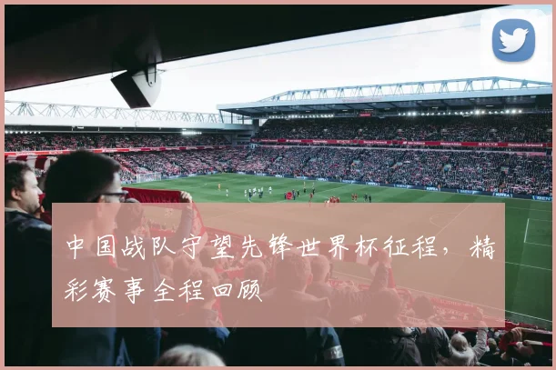 中国战队守望先锋世界杯征程，精彩赛事全程回顾