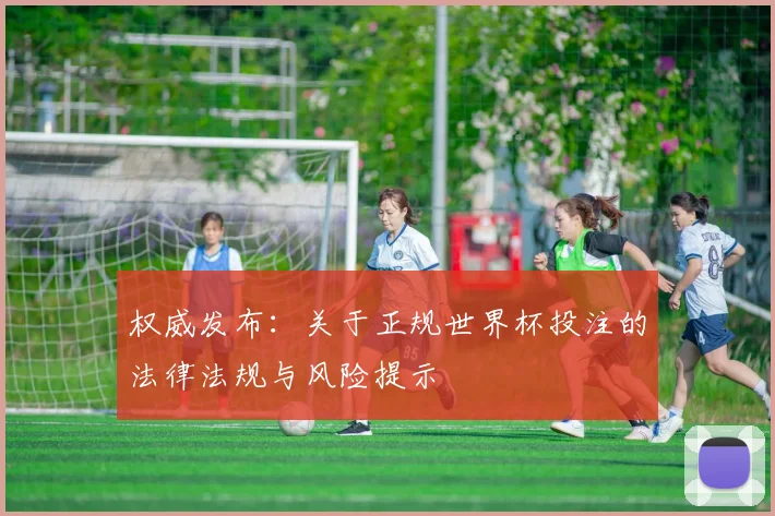 权威发布：关于正规世界杯投注的法律法规与风险提示