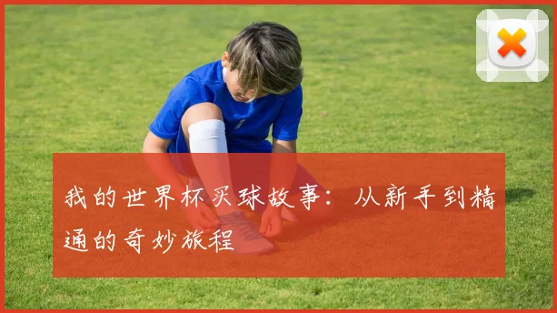 我的世界杯买球故事:从新手到精通的奇妙旅程