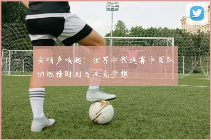 当哨声响起:世界杯预选赛中国队的燃情时刻与未竟梦想