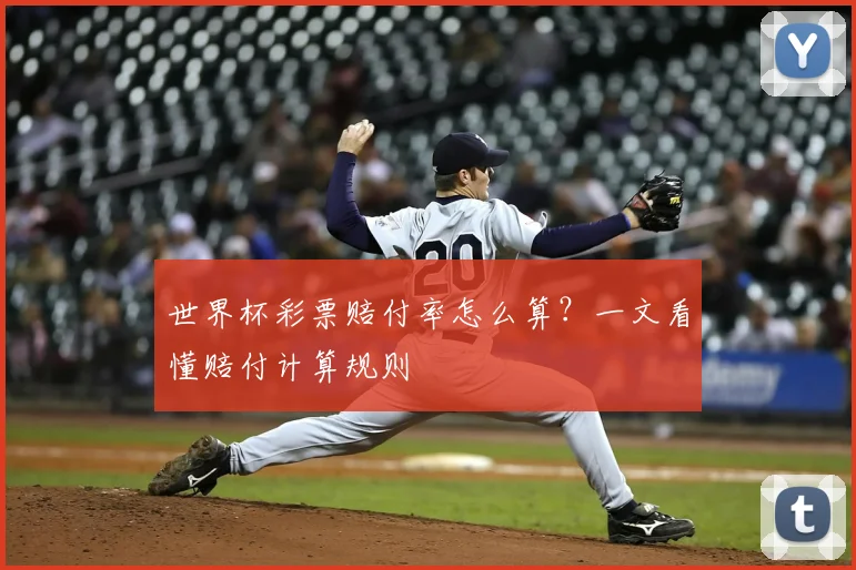 世界杯彩票赔付率怎么算?一文看懂赔付计算规则