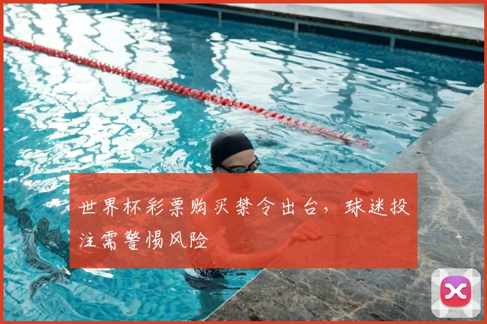 世界杯彩票购买禁令出台,球迷投注需警惕风险