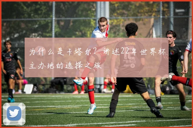 为什么是卡塔尔?讲述22年世界杯主办地的选择之旅