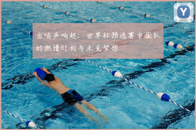 当哨声响起：世界杯预选赛中国队的燃情时刻与未竟梦想