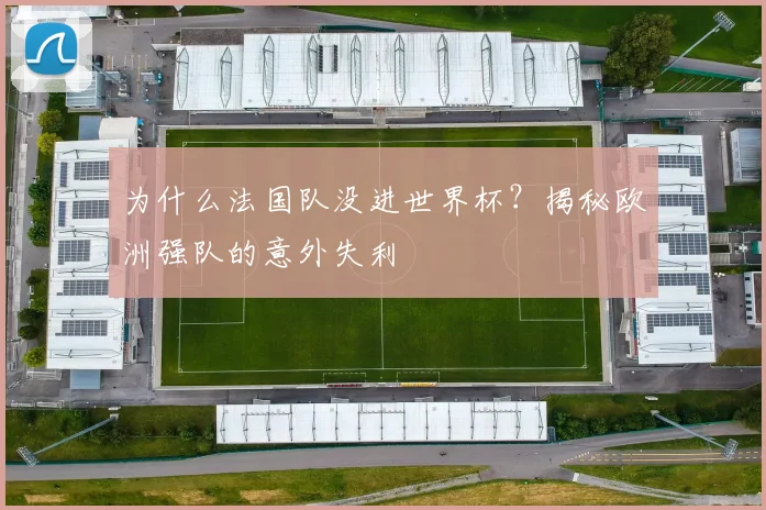 为什么法国队没进世界杯?揭秘欧洲强队的意外失利