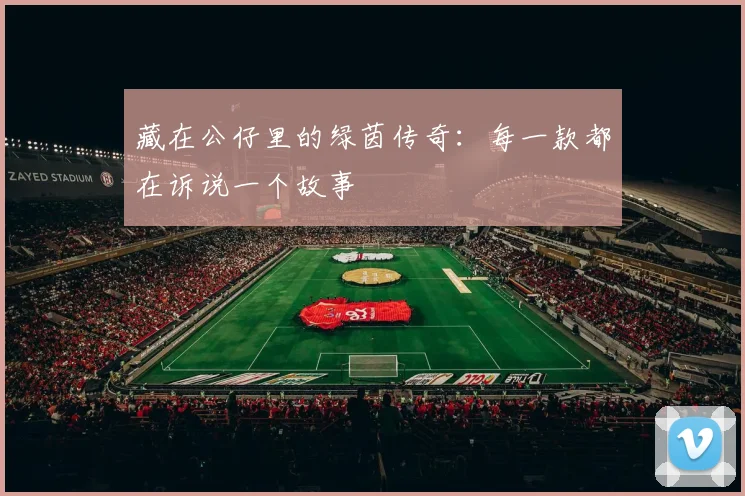 藏在公仔里的绿茵传奇：每一款都在诉说一个故事